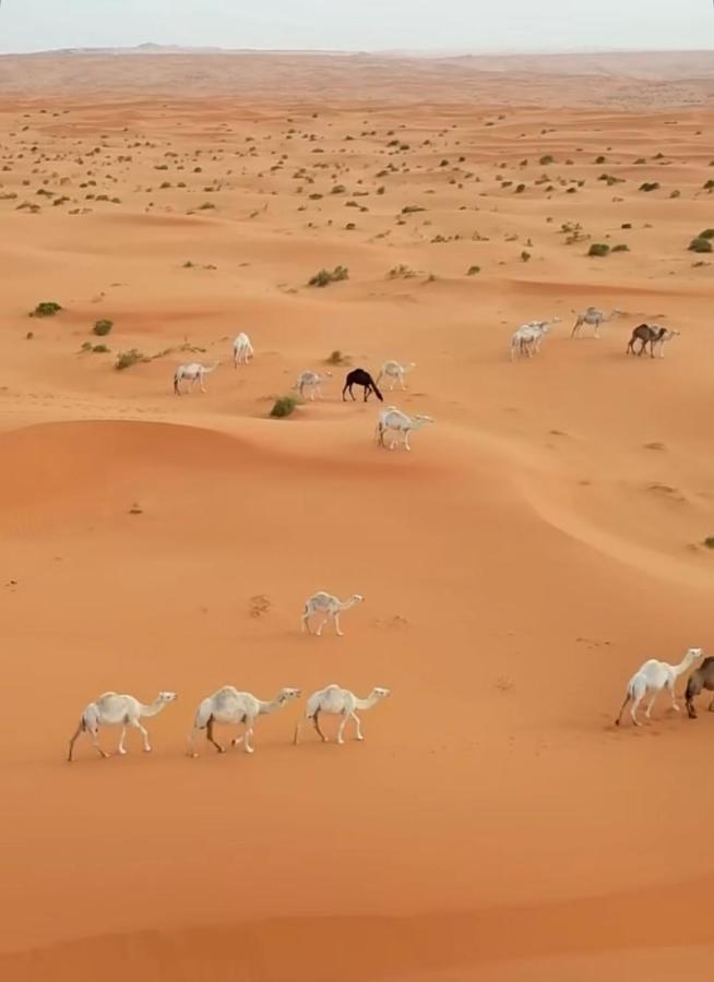 Desert Diamond Private New Camp Badīyah エクステリア 写真