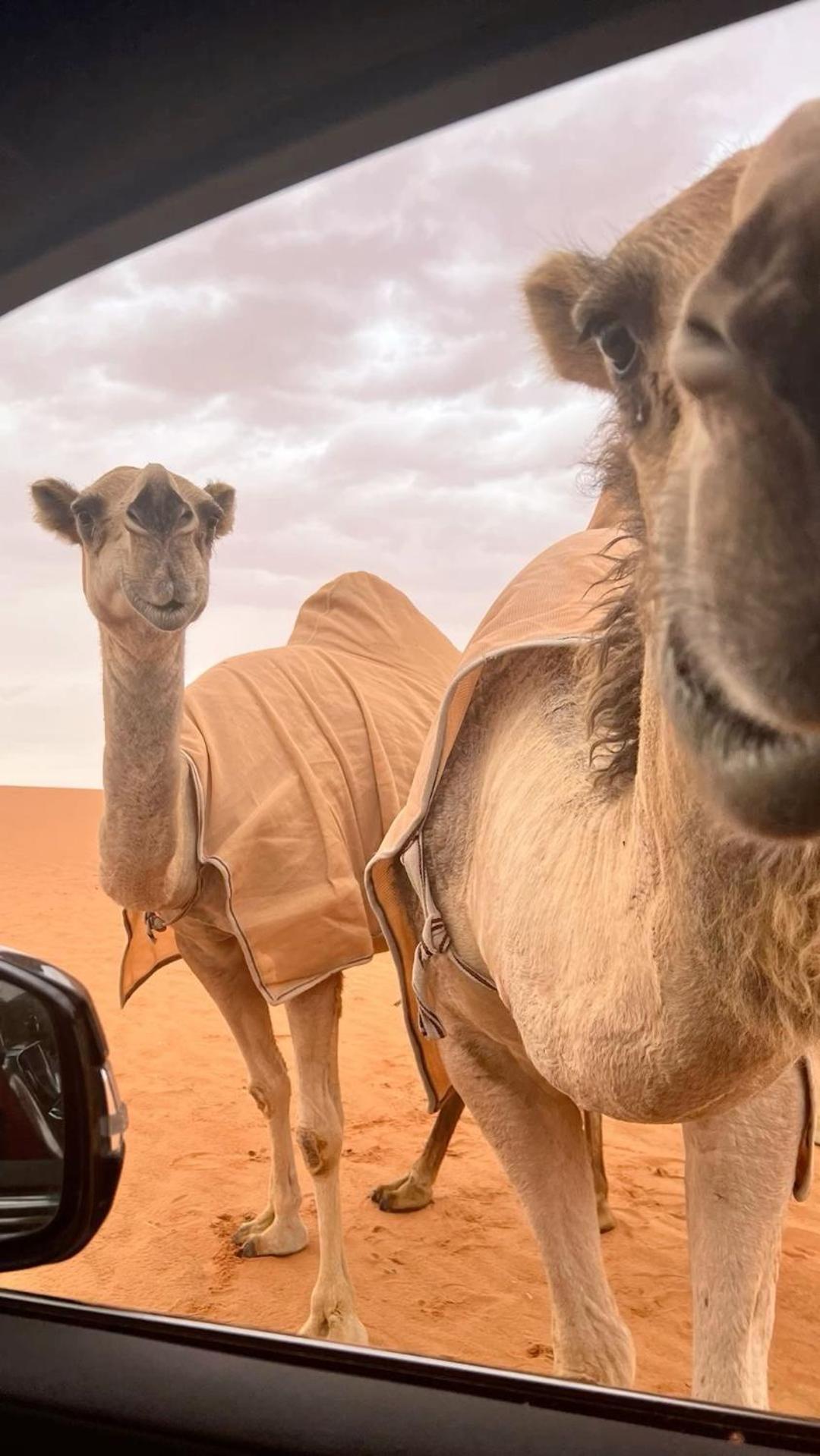 Desert Diamond Private New Camp Badīyah エクステリア 写真